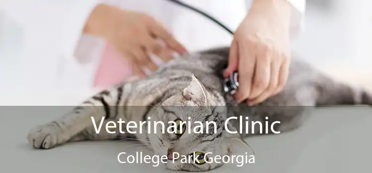 Veterinarian Clinic College Park Georgia