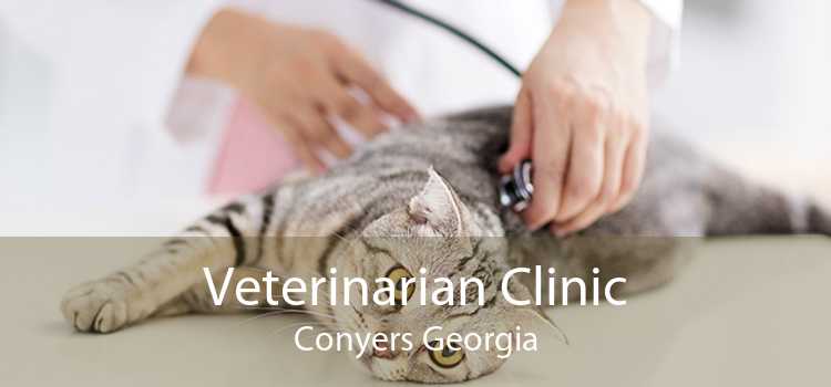 Veterinarian Clinic Conyers Georgia