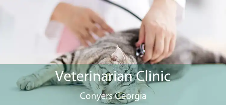 Veterinarian Clinic Conyers Georgia