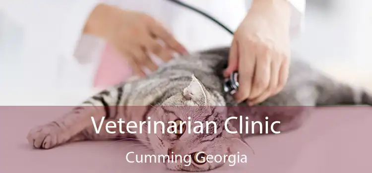 Veterinarian Clinic Cumming Georgia