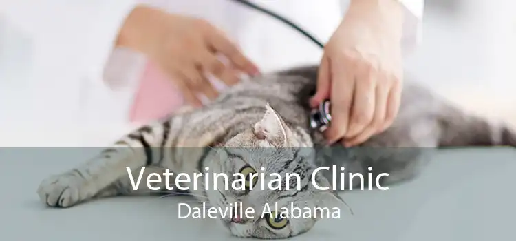 Veterinarian Clinic Daleville Alabama