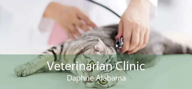 Veterinarian Clinic Daphne Alabama