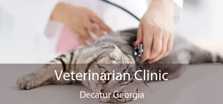 Veterinarian Clinic Decatur Georgia