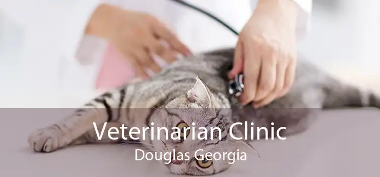 Veterinarian Clinic Douglas Georgia