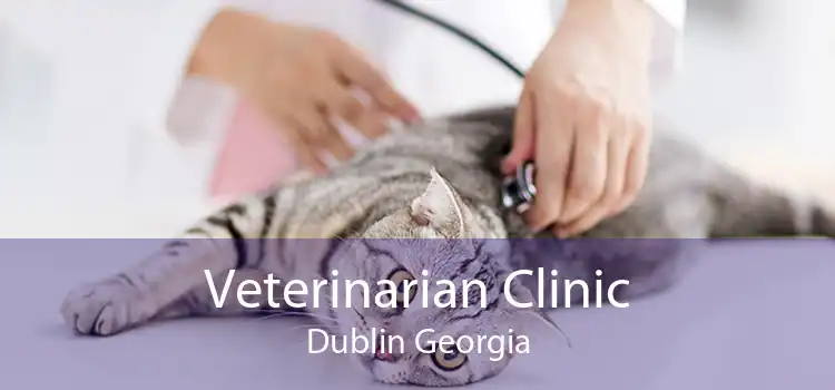 Veterinarian Clinic Dublin Georgia