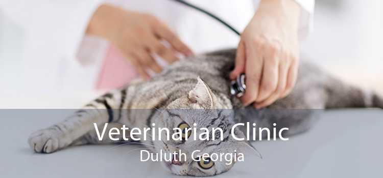 Veterinarian Clinic Duluth Georgia