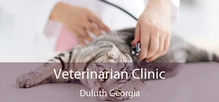 Veterinarian Clinic Duluth Georgia