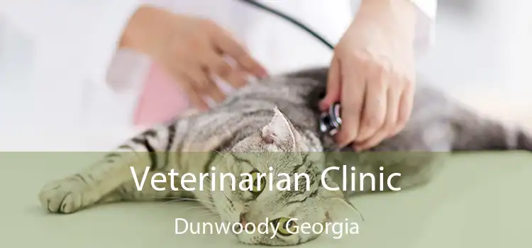 Veterinarian Clinic Dunwoody Georgia