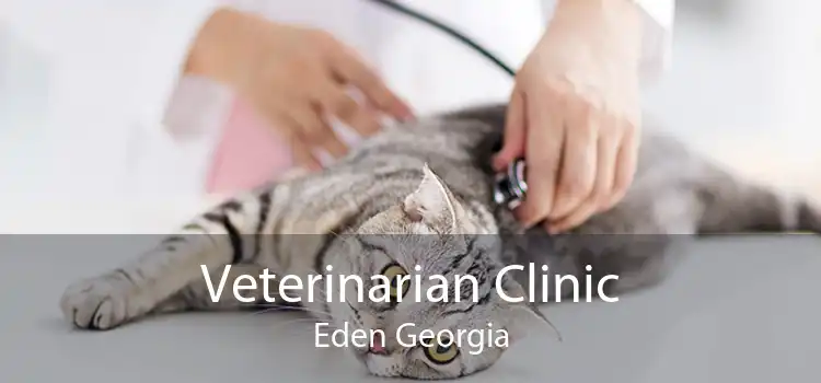 Veterinarian Clinic Eden Georgia