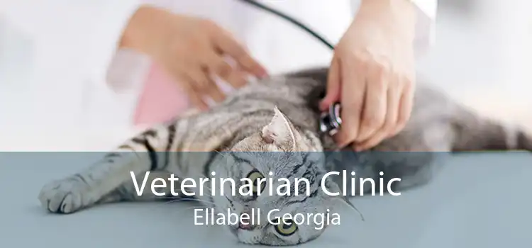 Veterinarian Clinic Ellabell Georgia