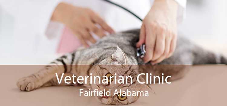 Veterinarian Clinic Fairfield Alabama
