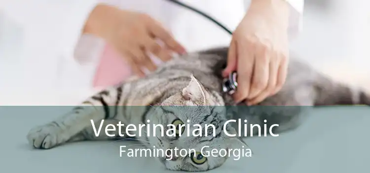 Veterinarian Clinic Farmington Georgia
