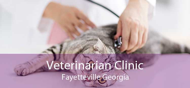 Veterinarian Clinic Fayetteville Georgia