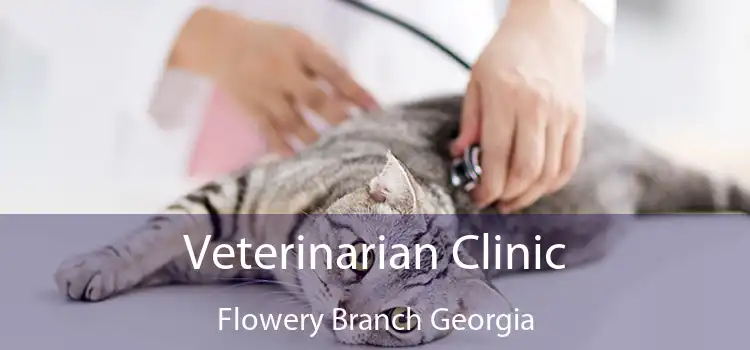 Veterinarian Clinic Flowery Branch Georgia