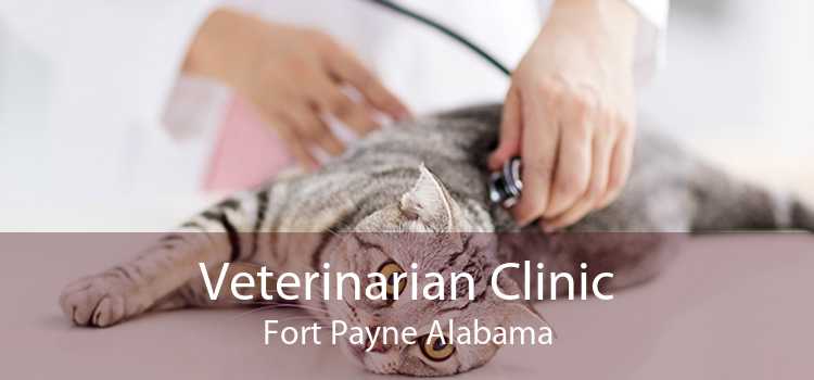Veterinarian Clinic Fort Payne Alabama
