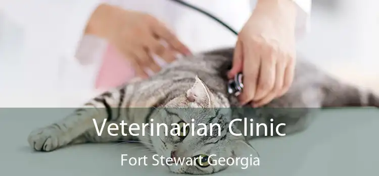 Veterinarian Clinic Fort Stewart Georgia