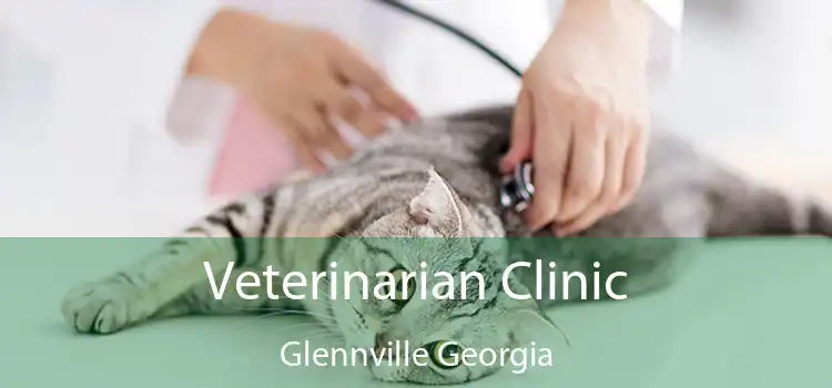 Veterinarian Clinic Glennville Georgia