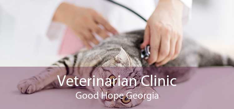 Veterinarian Clinic Good Hope Georgia