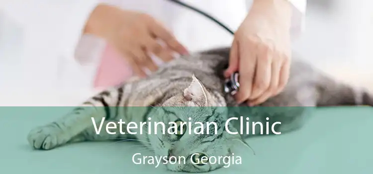 Veterinarian Clinic Grayson Georgia