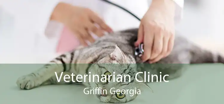 Veterinarian Clinic Griffin Georgia