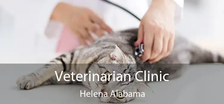 Veterinarian Clinic Helena Alabama