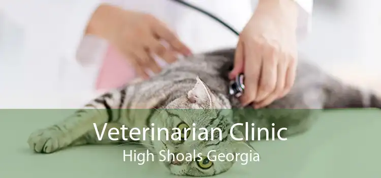 Veterinarian Clinic High Shoals Georgia