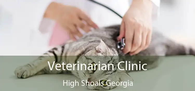 Veterinarian Clinic High Shoals Georgia