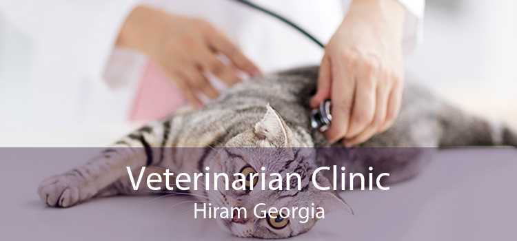 Veterinarian Clinic Hiram Georgia