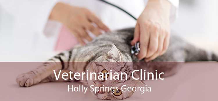 Veterinarian Clinic Holly Springs Georgia