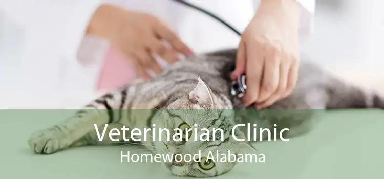 Veterinarian Clinic Homewood Alabama