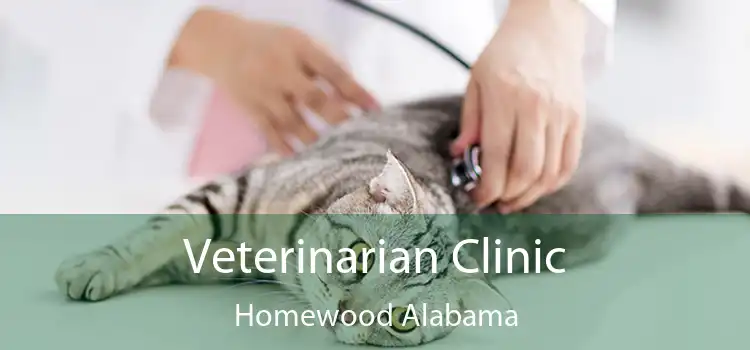Veterinarian Clinic Homewood Alabama