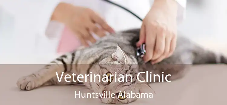 Veterinarian Clinic Huntsville Alabama