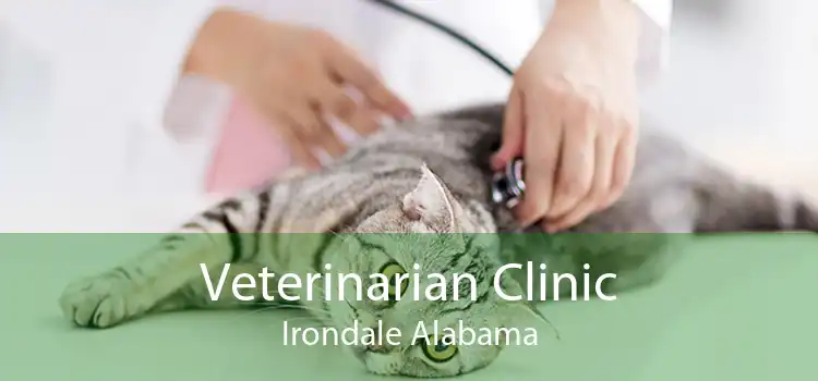 Veterinarian Clinic Irondale Alabama