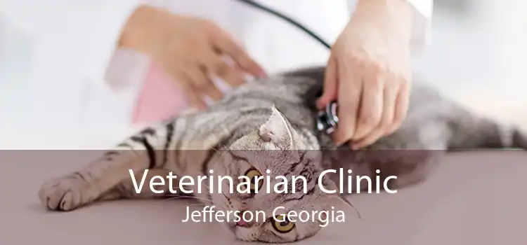 Veterinarian Clinic Jefferson Georgia