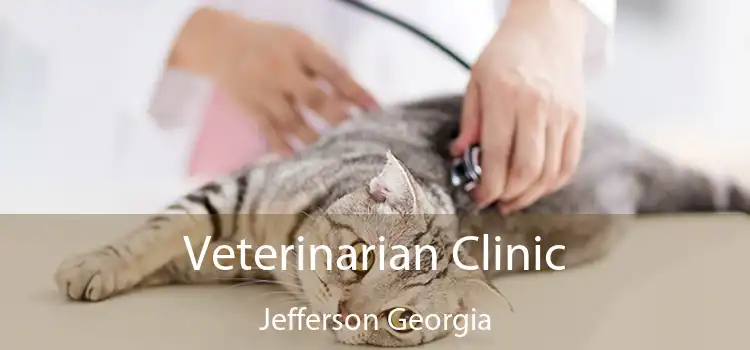 Veterinarian Clinic Jefferson Georgia