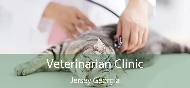 Veterinarian Clinic Jersey Georgia
