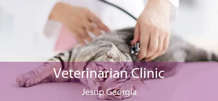 Veterinarian Clinic Jesup Georgia