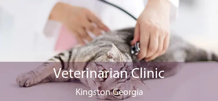 Veterinarian Clinic Kingston Georgia