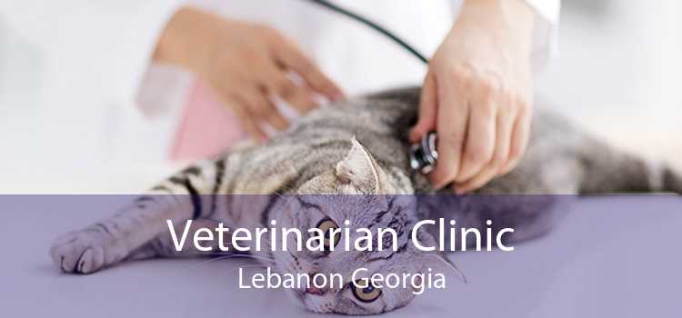 Veterinarian Clinic Lebanon Georgia