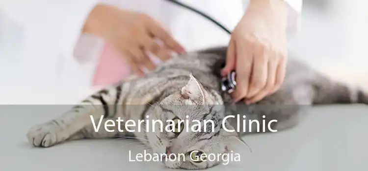 Veterinarian Clinic Lebanon Georgia