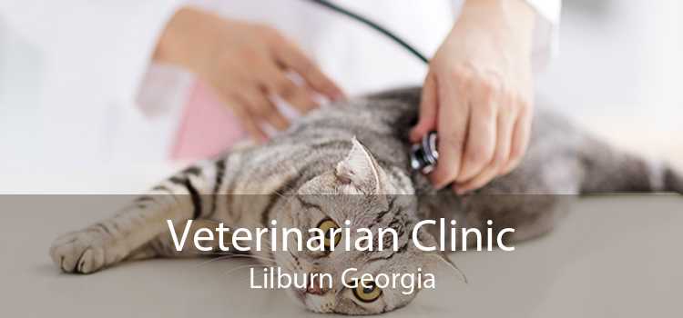 Veterinarian Clinic Lilburn Georgia