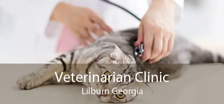 Veterinarian Clinic Lilburn Georgia