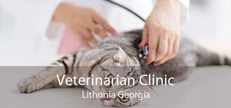 Veterinarian Clinic Lithonia Georgia