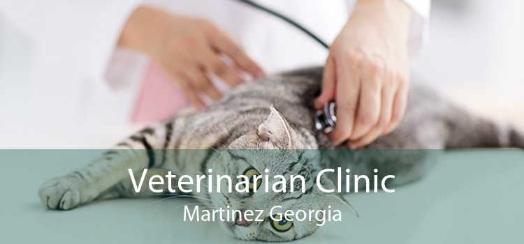 Veterinarian Clinic Martinez Georgia