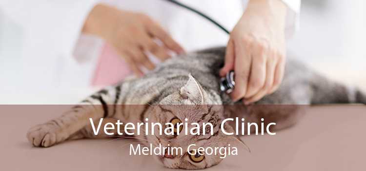 Veterinarian Clinic Meldrim Georgia