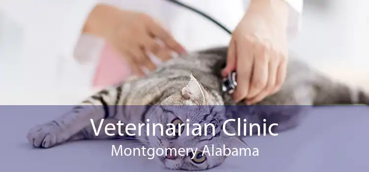 Veterinarian Clinic Montgomery Alabama
