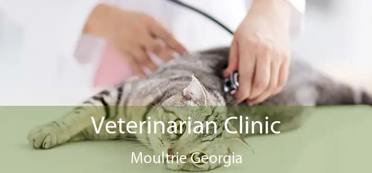 Veterinarian Clinic Moultrie Georgia