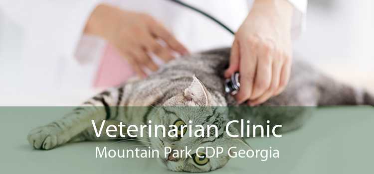 Veterinarian Clinic Mountain Park CDP Georgia