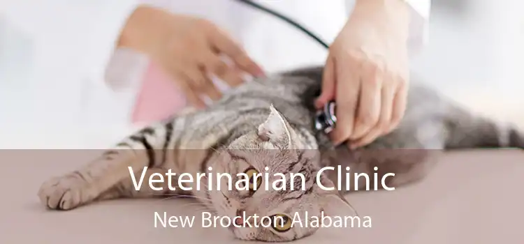 Veterinarian Clinic New Brockton Alabama