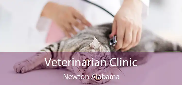 Veterinarian Clinic Newton Alabama